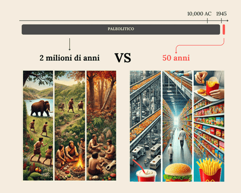 biodisponibilità organi bovini paleolitico vs oggi