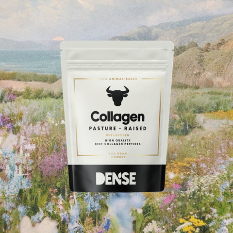 collagene-bovino-mucche-pascolo-carnivore-company