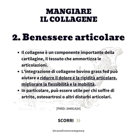 Collagene da Mucche al Pascolo