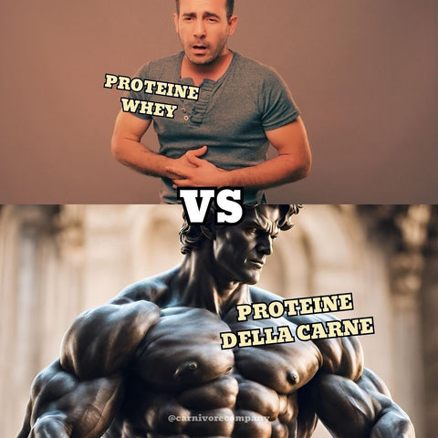 Proteine della carne Grass Fed senza lattosio