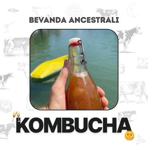 KOMBUCHA carnivore company