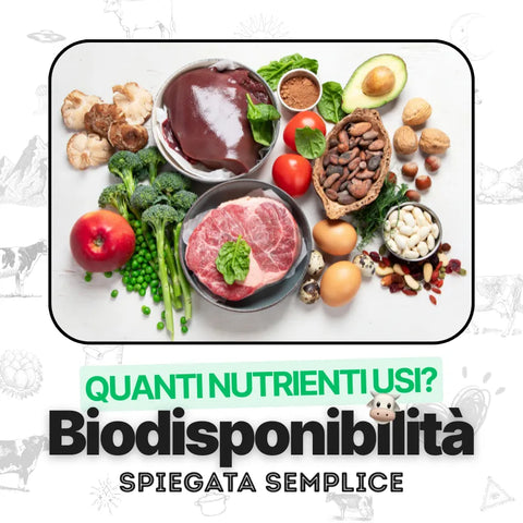 biodisponibilita-integratori-cosa-significa · nutrienti-nella-matrice-del-cibo-vero-vs-isolati