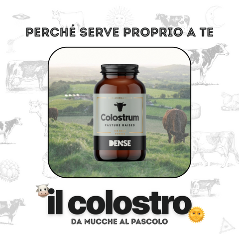 Cos'è il Colostro e perché oggi serve proprio a te 🐄