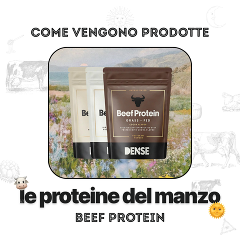 Come vengono prodotte le nostre Proteine del Manzo