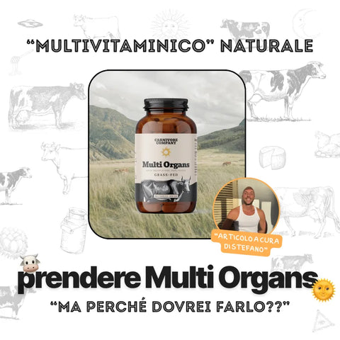 Flacone ambrato di Multi Organs Grass-Fed Carnivore Company con sfondo di prato alpino, presentato come multivitaminico naturale a base di organi bovini, con testo 'Perché prendere Multi Organs' e foto dell'autore Stefano