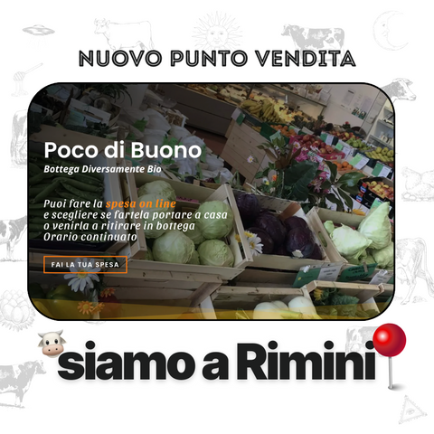 Nuovo punto vendita offline a Rimini 📍