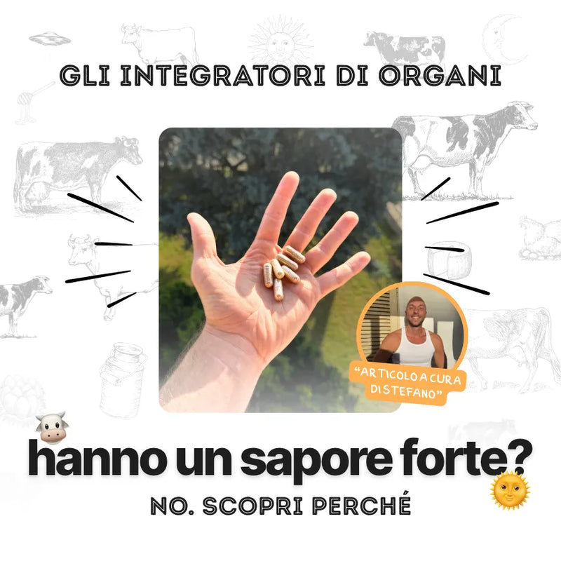 capsule-integratori-di-organi-senza-sapore-carnivore-company · fegato-multi-organs-testicoli-capsule-carnivore-company