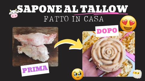 talllow soap - sapone al tallow gatto in casa copertina