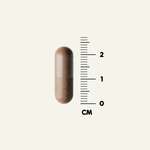 capsula multiorgans organ mix cuore rene fegato di manzo grass fed