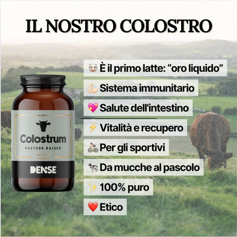 Colostro da mucche al pascolo