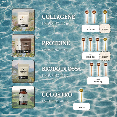 Guida visiva ai misurini in acciaio inox Carnivore Company con logo stampato laser: dosi per collagene (7g), proteine beef (8g), brodo di ossa (6g) e colostro (5g), con cucchiai dorati su sfondo acqua turchese
