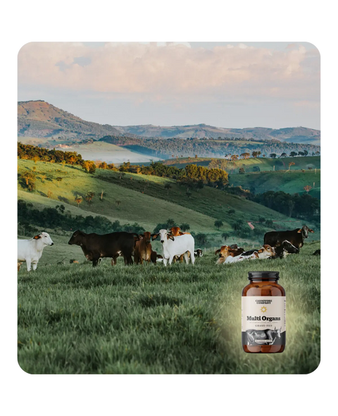 Multi Organs - Mix di Organi Grass Fed