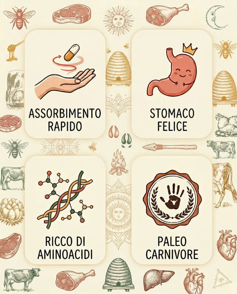 Infografica sui benefici delle proteine del manzo grass fed: assorbimento rapido, stomaco felice, ricco di aminoacidi