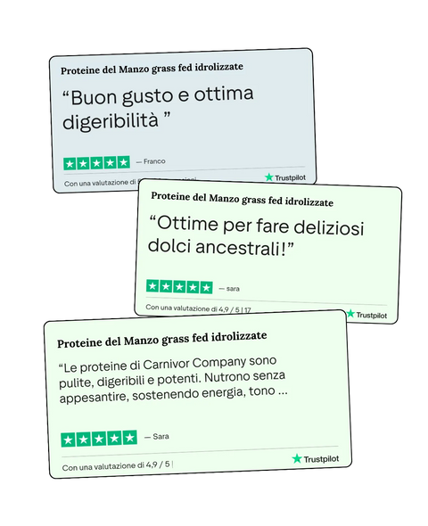 Tre schede recensioni Trustpilot 5 stelle per le Proteine del Manzo Grass Fed Idrolizzate di Carnivore Company: clienti Franco e Sara elogiano gusto, digeribilità e benefici energetici, valutazione 4,9 su 5